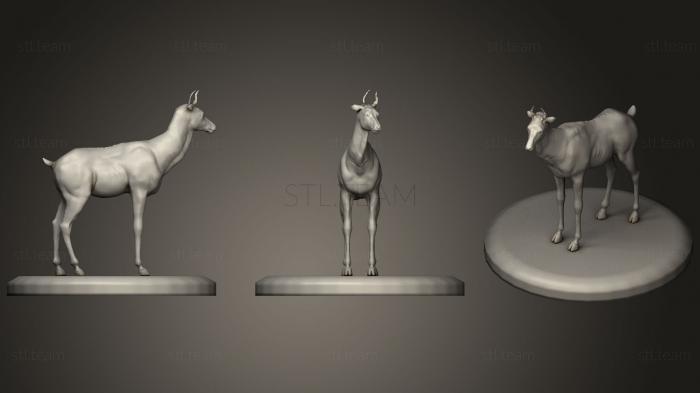 3D model Posed deer sculpt (STL)